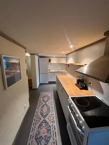 Pearl Of Fredvang Apartment Hovdan